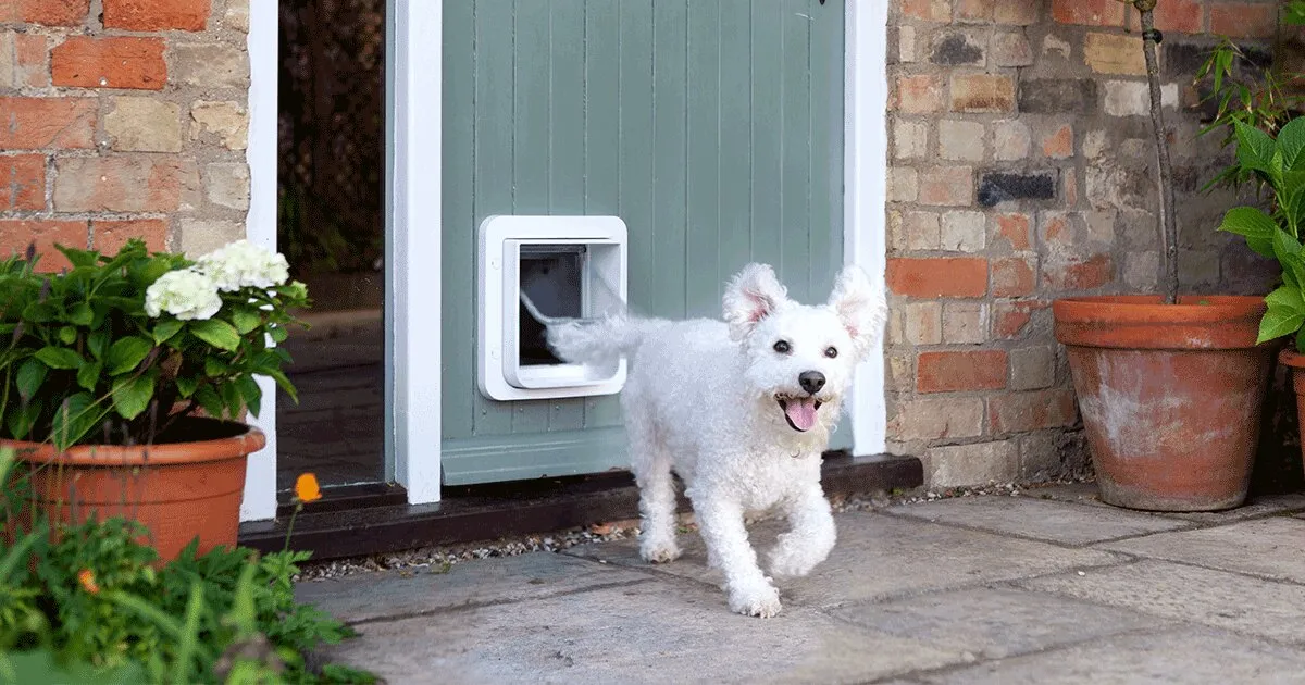 SureFlap Microchip Pet Door