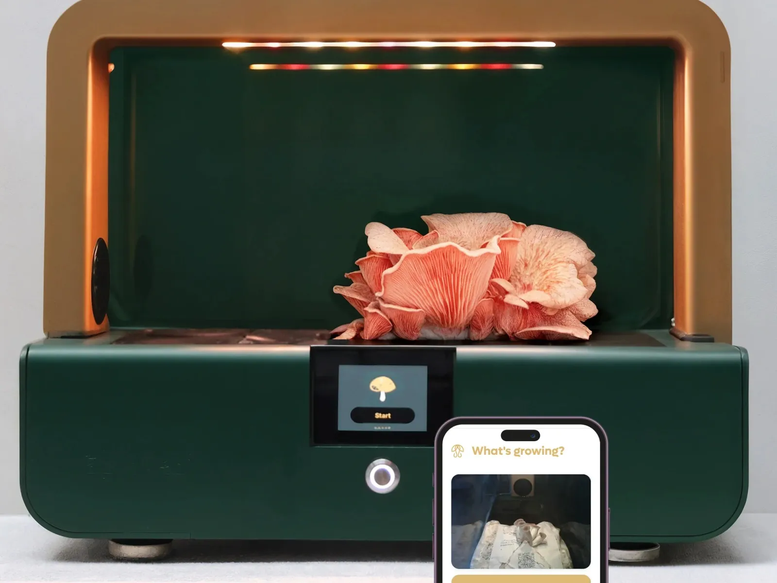Sproushi Smart Mushroom Grower