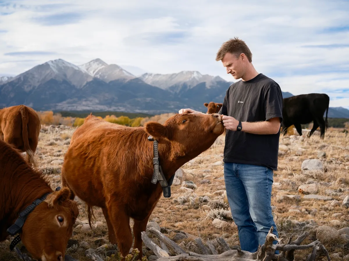 Peter Thiel's solar-powered cow collars | TechCrunch